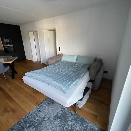 Mit Beheiztem Swimspa Apartment *